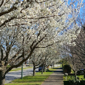 Berwick Springs Reserve