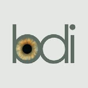 BDi Music Ltd