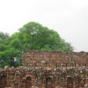 VILLAGE : KANWARSIKA