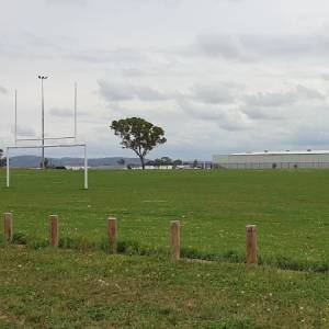 Taylor 1 Sportsground