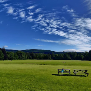 Marlay Park
