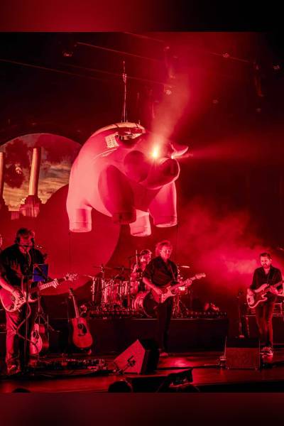 Pink Project Live at Zuiderpark 2026 Concert