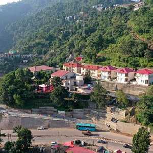 Dharmpur Kasauli Resort